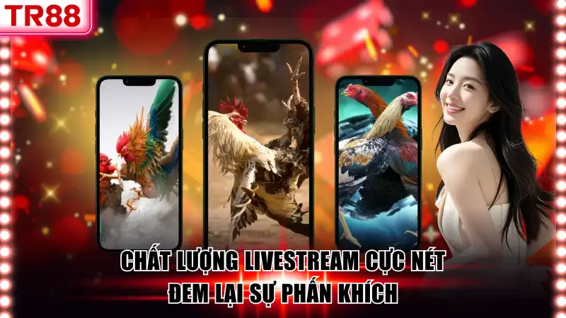 Chất lượng livestream cực nét đem lại sự phấn khích