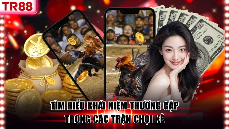 Tìm hiểu khái niệm thường gặp trong các trận chọi kê